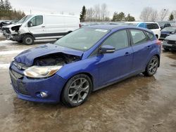 Ford salvage cars for sale: 2014 Ford Focus SE