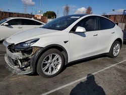 Salvage cars for sale from Copart Wilmington, CA: 2023 Tesla Model Y