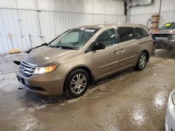 Honda salvage cars for sale: 2012 Honda Odyssey EX