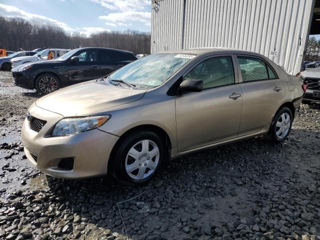 2010 Toyota Corolla Base