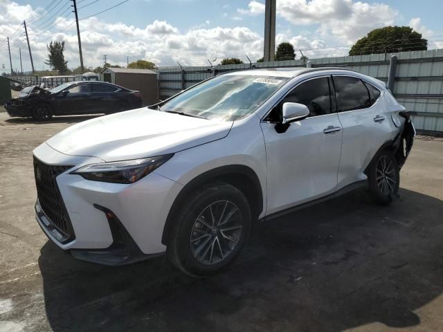 2024 Lexus NX 250 Premium