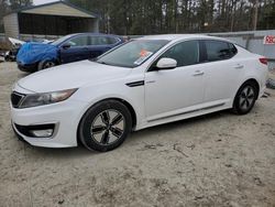 Salvage cars for sale at Seaford, DE auction: 2013 KIA Optima Hybrid