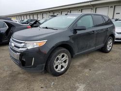 2014 Ford Edge SEL en venta en Louisville, KY