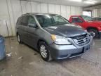 2008 Honda Odyssey EXL