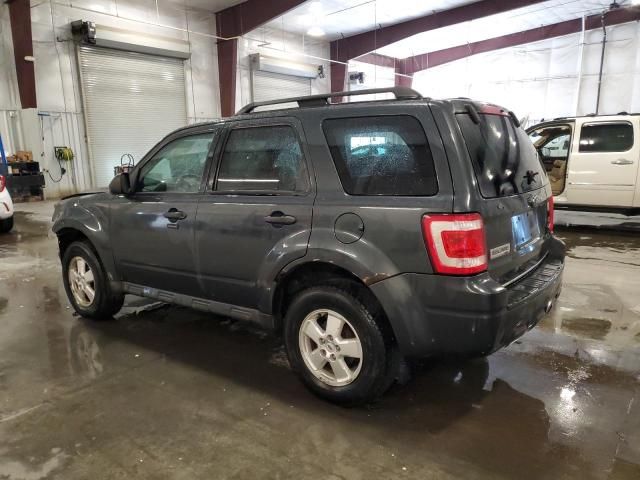 2009 Ford Escape XLT