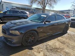 Salvage cars for sale at Albuquerque, NM auction: 2013 Dodge Charger Super BEE