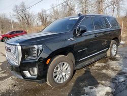 Salvage cars for sale at Marlboro, NY auction: 2024 GMC Yukon Denali