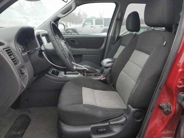 2007 Ford Escape XLT