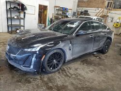 Salvage cars for sale at Ham Lake, MN auction: 2020 Cadillac CT5 Premium Luxury