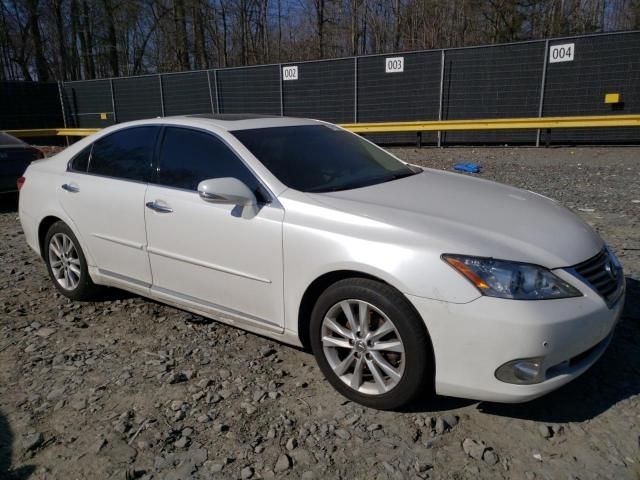 2010 Lexus ES 350