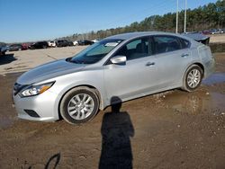 Salvage cars for sale at Greenwell Springs, LA auction: 2016 Nissan Altima 2.5