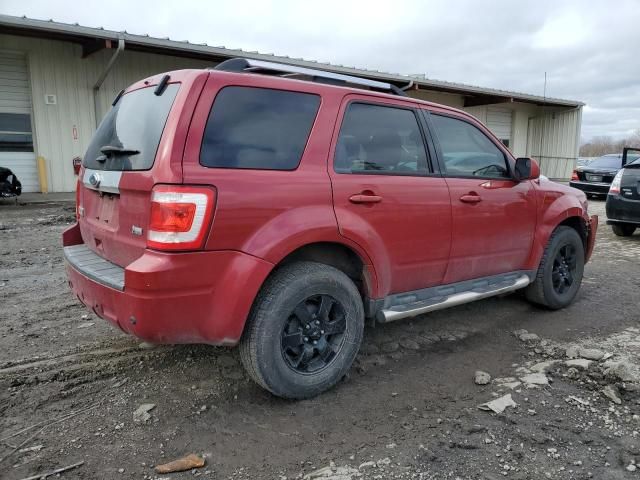 2011 Ford Escape Limited