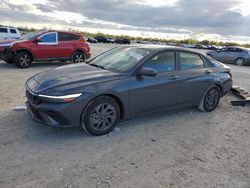 Salvage cars for sale at Arcadia, FL auction: 2024 Hyundai Elantra SEL