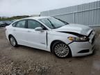 2014 Ford Fusion SE Hybrid