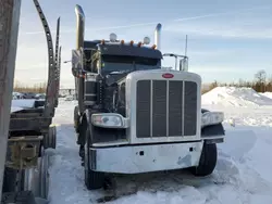 Salvage trucks for sale at Moncton, NB auction: 2019 Peterbilt 389