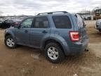 2011 Ford Escape Hybrid