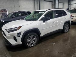 2024 Toyota Rav4 LE en venta en Ham Lake, MN