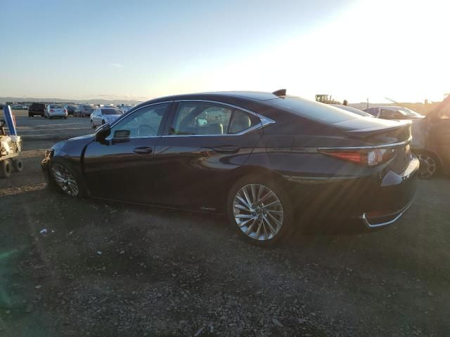 2019 Lexus ES 300H