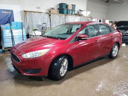 Salvage cars for sale at Elgin, IL auction: 2015 Ford Focus SE