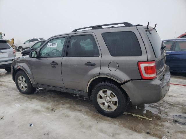 2010 Ford Escape XLT