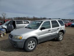 Salvage cars for sale at Des Moines, IA auction: 2005 Ford Escape XLT