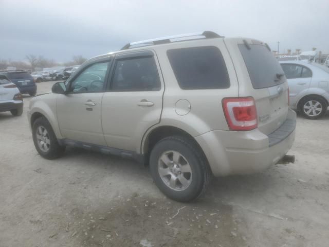 2010 Ford Escape Limited