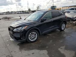 Salvage cars for sale at New Orleans, LA auction: 2020 Ford Escape SE