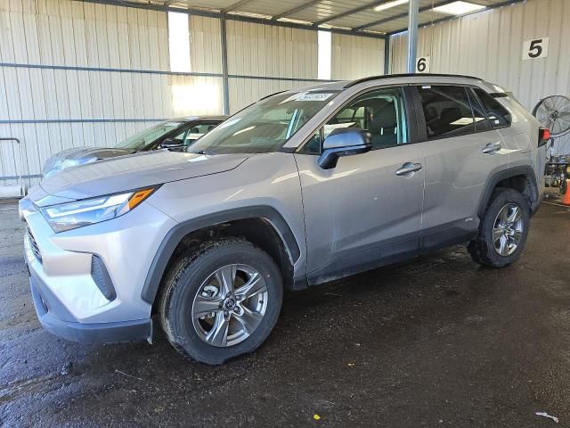 2024 Toyota Rav4 LE