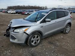 Salvage cars for sale at Franklin, WI auction: 2016 Ford Escape SE