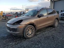 Salvage cars for sale at Eugene, OR auction: 2016 Porsche Cayenne