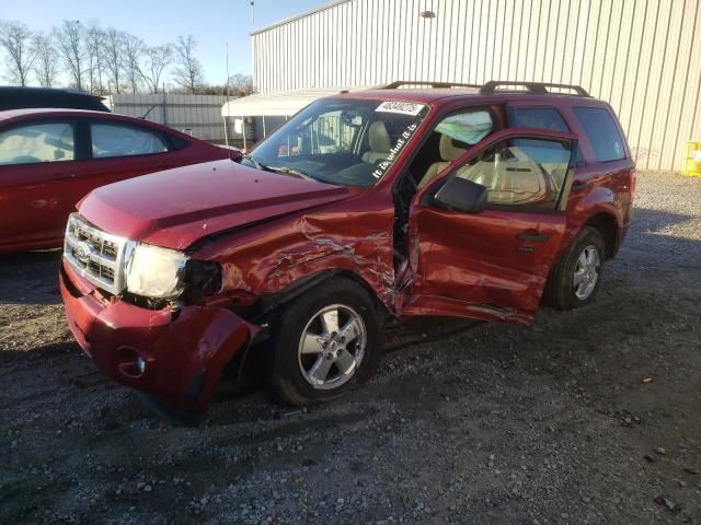 2011 Ford Escape XLT