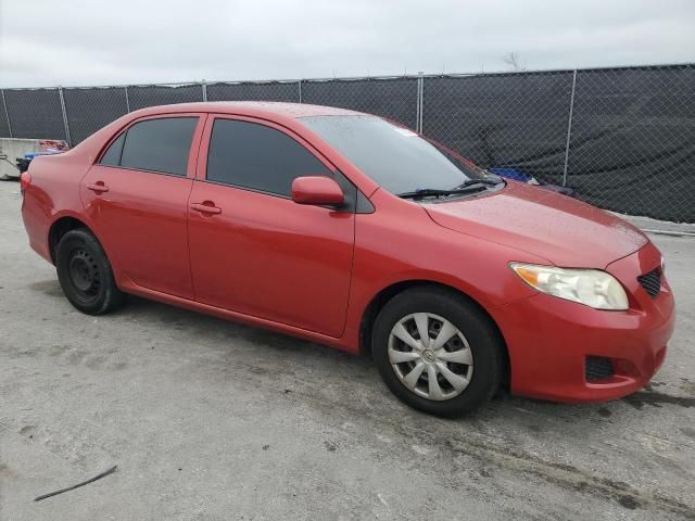 2010 Toyota Corolla Base