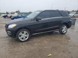 Salvage cars for sale at Homestead, FL auction: 2013 Mercedes-Benz ML 350