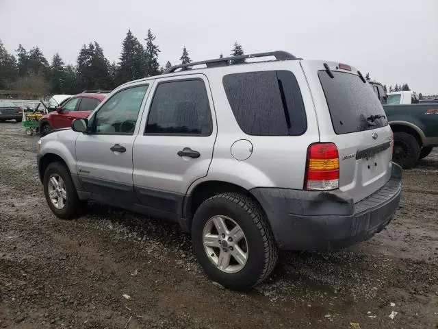 2007 Ford Escape HEV