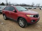 2011 KIA Sorento EX