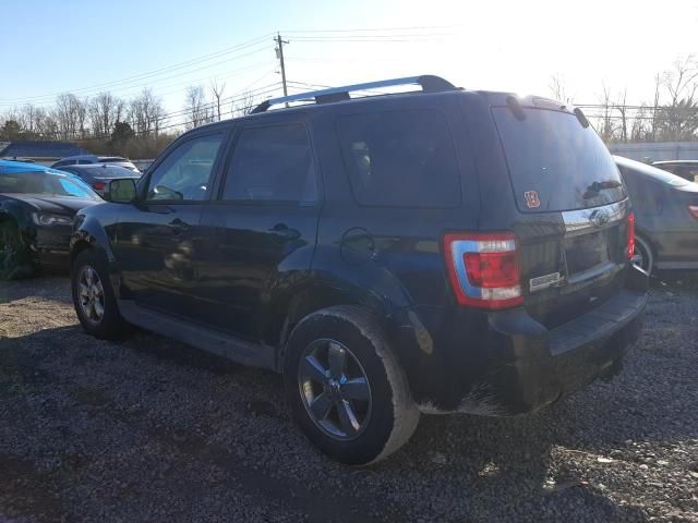 2011 Ford Escape Limited