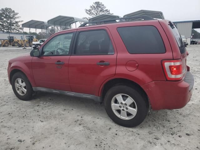 2010 Ford Escape XLT