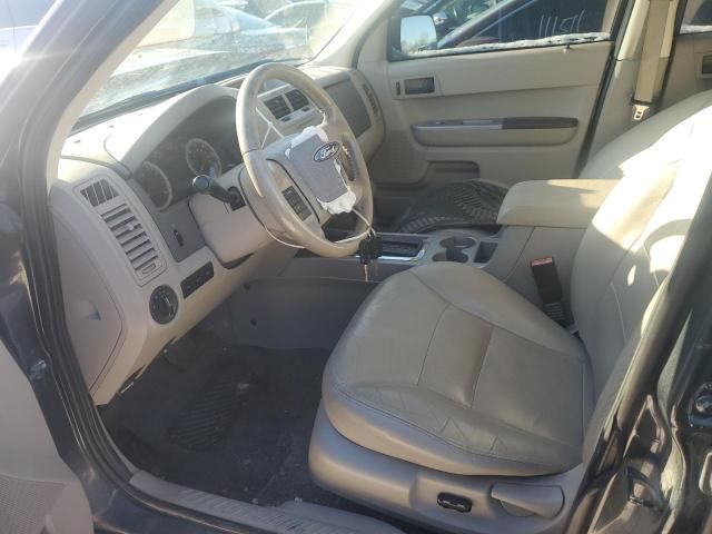 2008 Ford Escape XLT