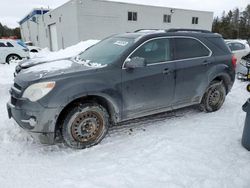 Salvage cars for sale from Copart Cookstown, ON: 2014 Chevrolet Equinox LT