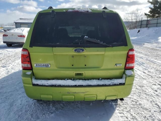 2012 Ford Escape XLT