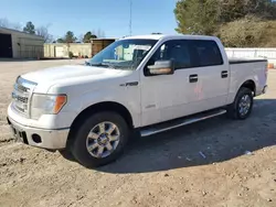 Salvage cars for sale at Knightdale, NC auction: 2014 Ford F150 Supercrew