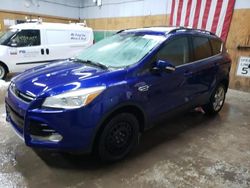 Salvage cars for sale at Kincheloe, MI auction: 2013 Ford Escape SEL