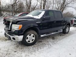 Salvage cars for sale at Cicero, IN auction: 2014 Ford F150 Supercrew