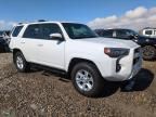 2024 Toyota 4runner SR5/SR5 Premium