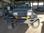 1993 Jeep Wrangler / YJ