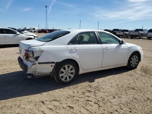 2008 Toyota Camry Hybrid