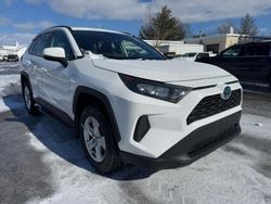 Toyota rav4 salvage cars for sale: 2021 Toyota Rav4 LE