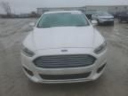 2013 Ford Fusion SE Hybrid