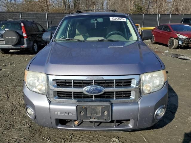 2008 Ford Escape XLT