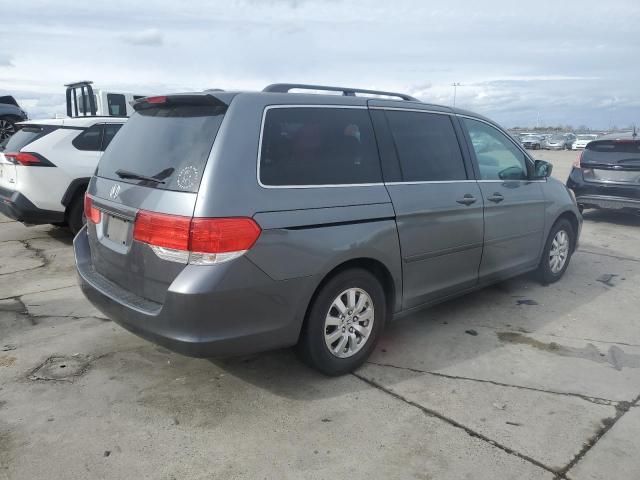 2010 Honda Odyssey EXL